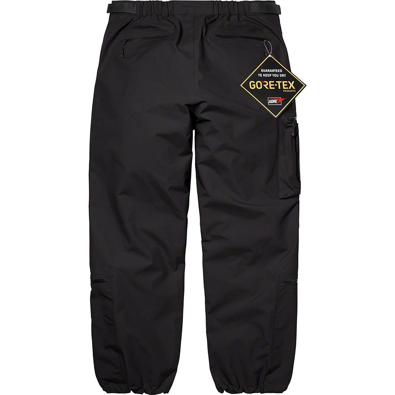 GORE-TEX Tech Pant view 9